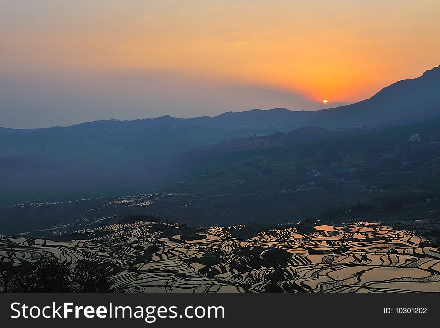 Sun Rise Over Rice Terrace