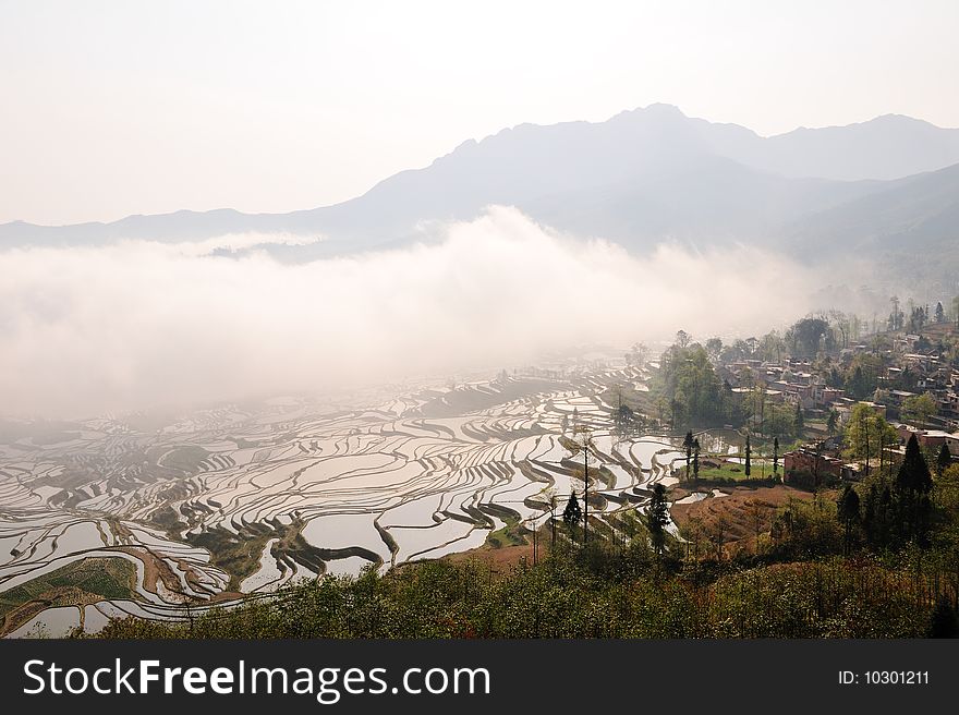 Cloud sea is moving into rice terrace in Yunnan, China. Cloud sea is moving into rice terrace in Yunnan, China.