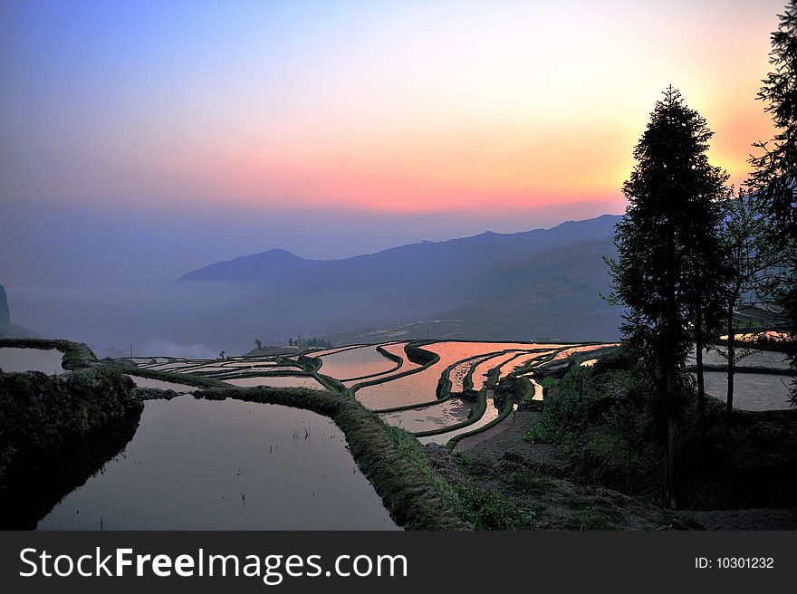 Sun rises over rice terrace of Yuenyan in Yunnan, China. Sun rises over rice terrace of Yuenyan in Yunnan, China.