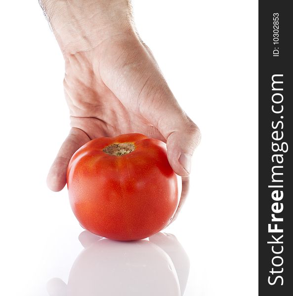 Reaching for a tomato on white backround