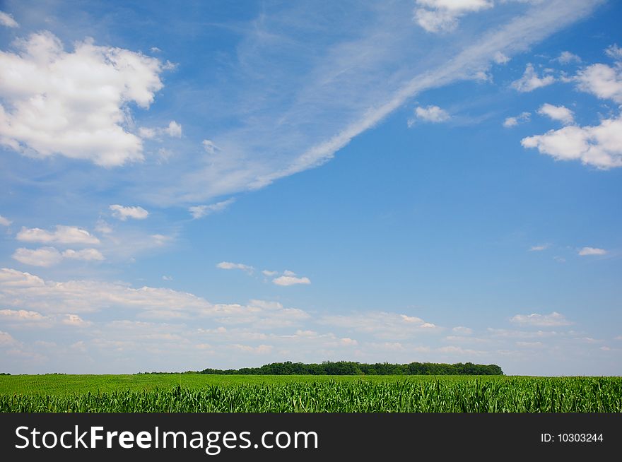 Clouds above the corn field 2. Clouds above the corn field 2