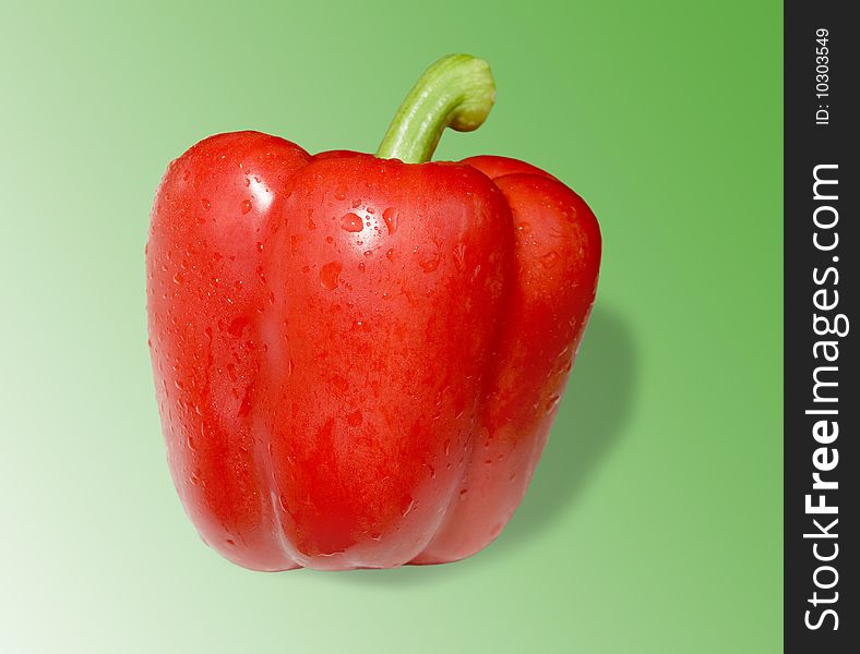 Red pepper with water drops on green background