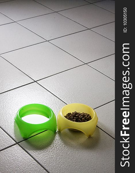 Colorful bowls for the dog on white floor