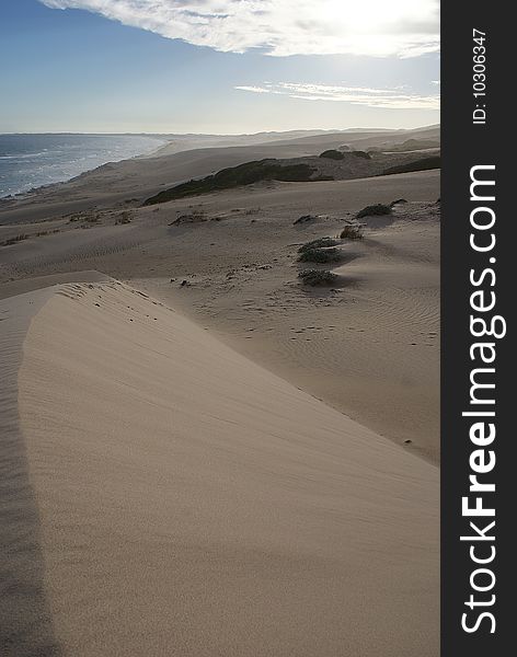 Beach and dunes