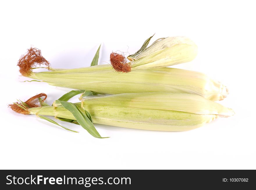 Corn in leaves on a white background