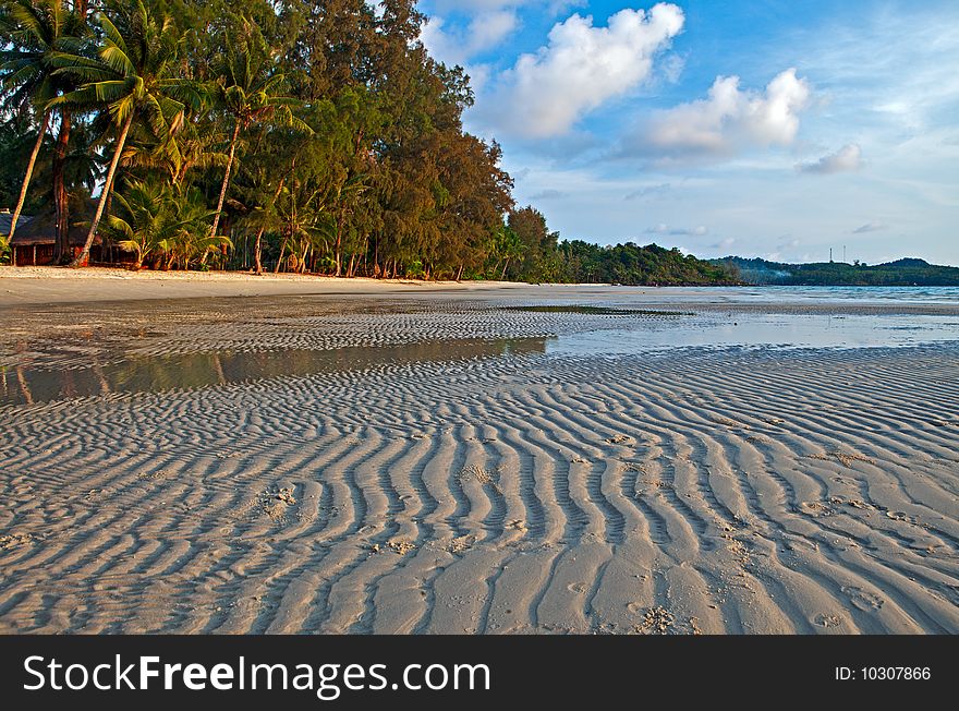 Sand ornament, sea and palm trees