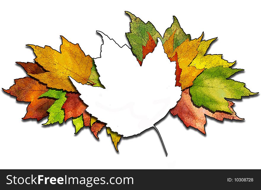 Bunched maple leaves in fall colors isolated on white. Bunched maple leaves in fall colors isolated on white