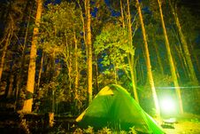 Camping In Pine Tree Forest At Night Stock Photo Camping In Pine Tree Forest At Night Stock Photo