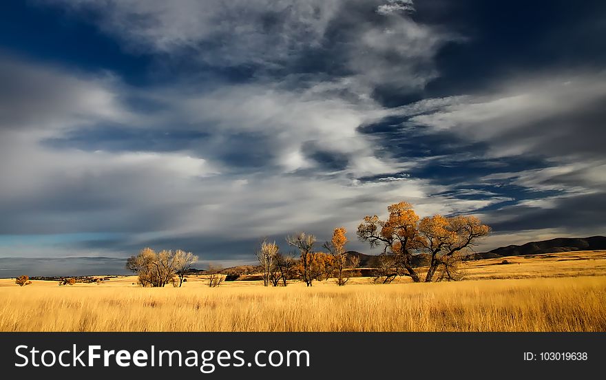 Sky, Grassland, Ecosystem, Prairie