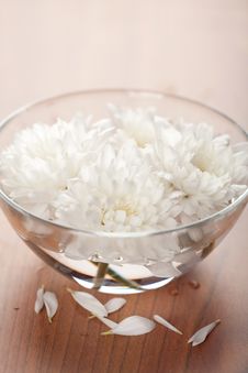 White Flowers Floating In Bowl Royalty Free Stock Photography White Flowers Floating In Bowl Royalty Free Stock Photography