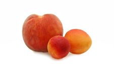 Peach And Apricot Royalty Free Stock Images Peach And Apricot Royalty Free Stock Images