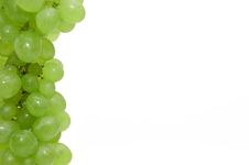 Part Of A Framework From Ripe Grapes Royalty Free Stock Image