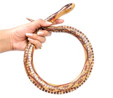 Snake In Hand Stock Photography Snake In Hand Stock Photography