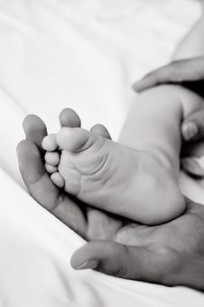 Woman Hand Holds Baby Leg Stock Images