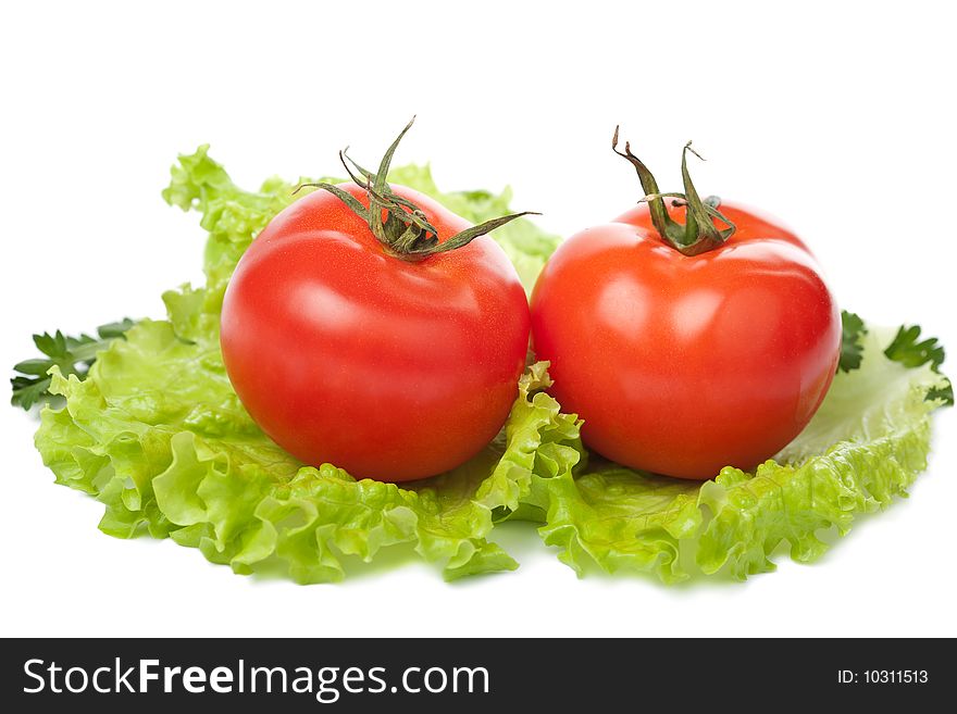 Colorful Fresh Vegetables Isolated