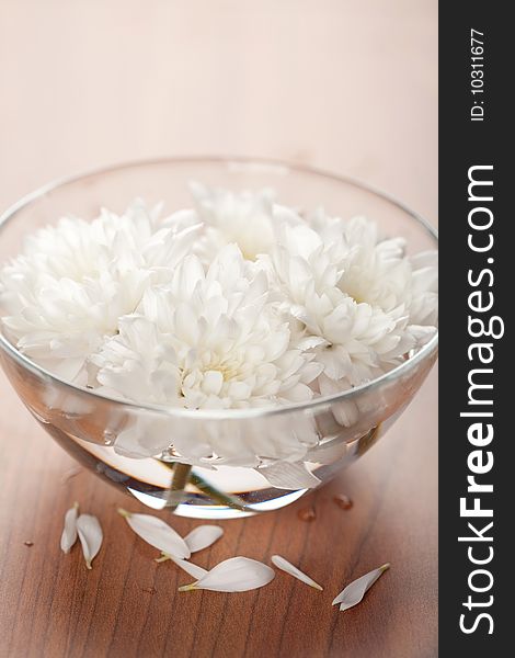 White flowers floating in bowl. spa background