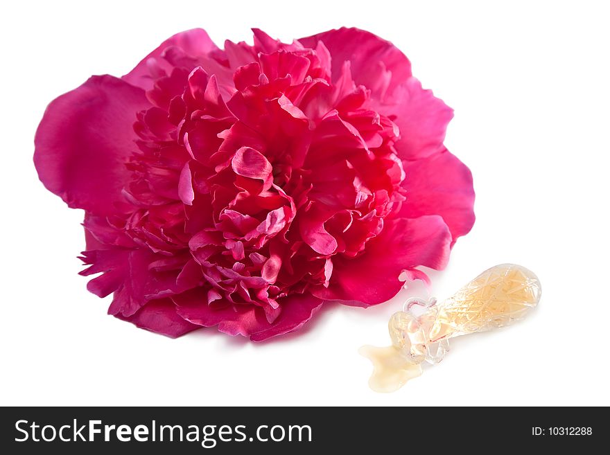 Pink peony flower and perfume bottle isolated