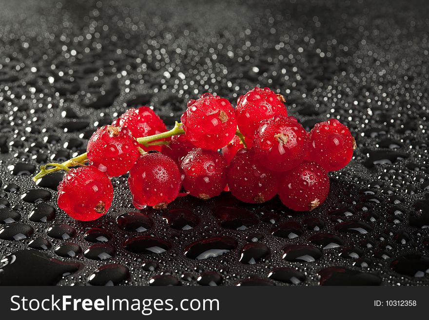 Redcurrant with water drops over black background