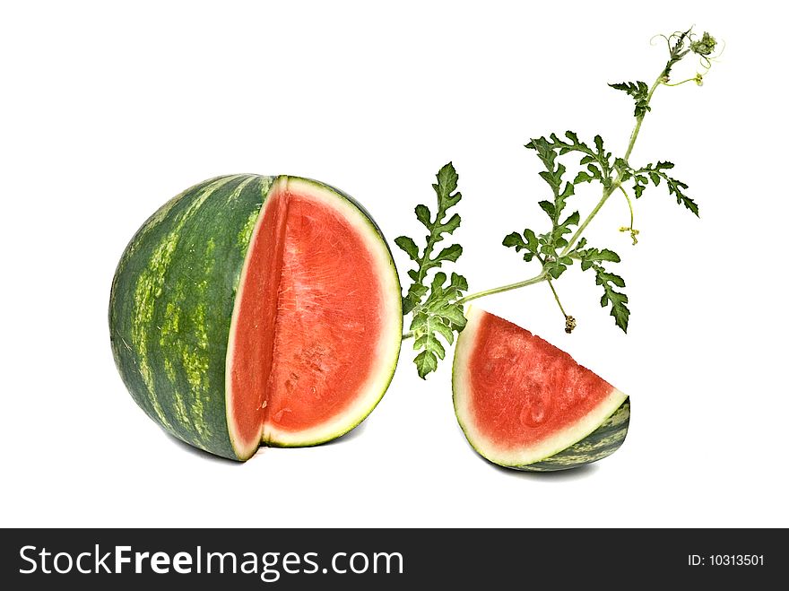 Watermelon segments with vine isolated on white background