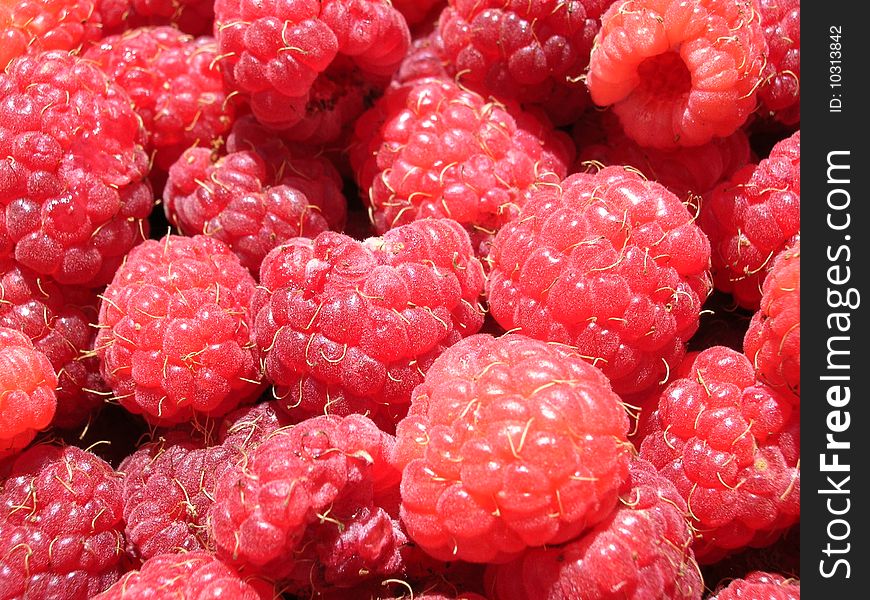 Macro of seasonal red and juicy raspberries.