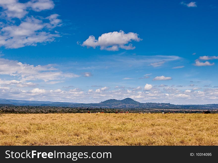 Landscape of farmland and hills with blue sky