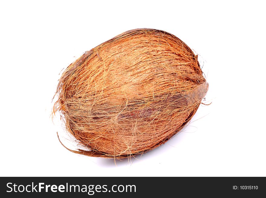 Hairy coconut isolated on white background.