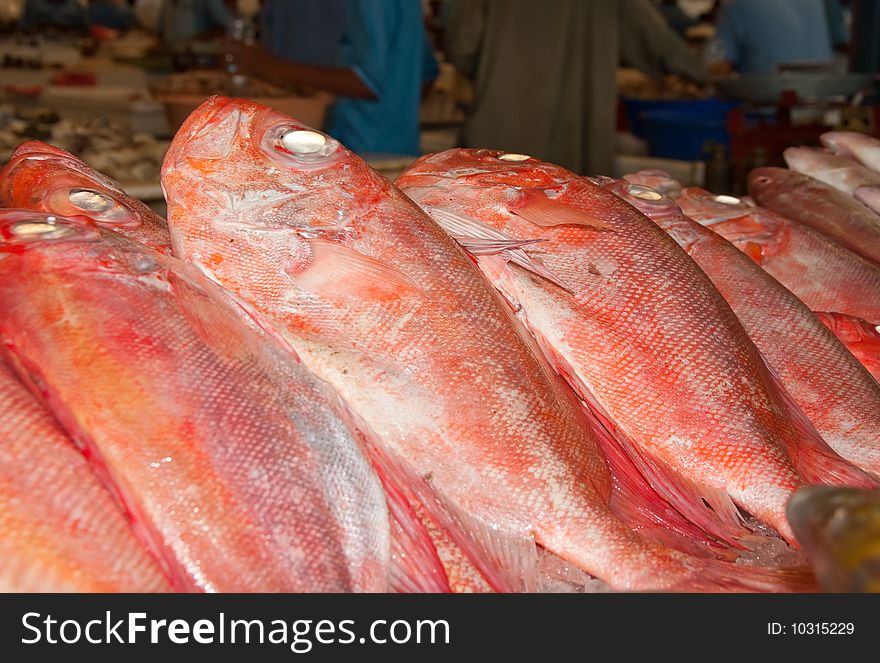 Fresh Fish being sold in a Dubai fish market