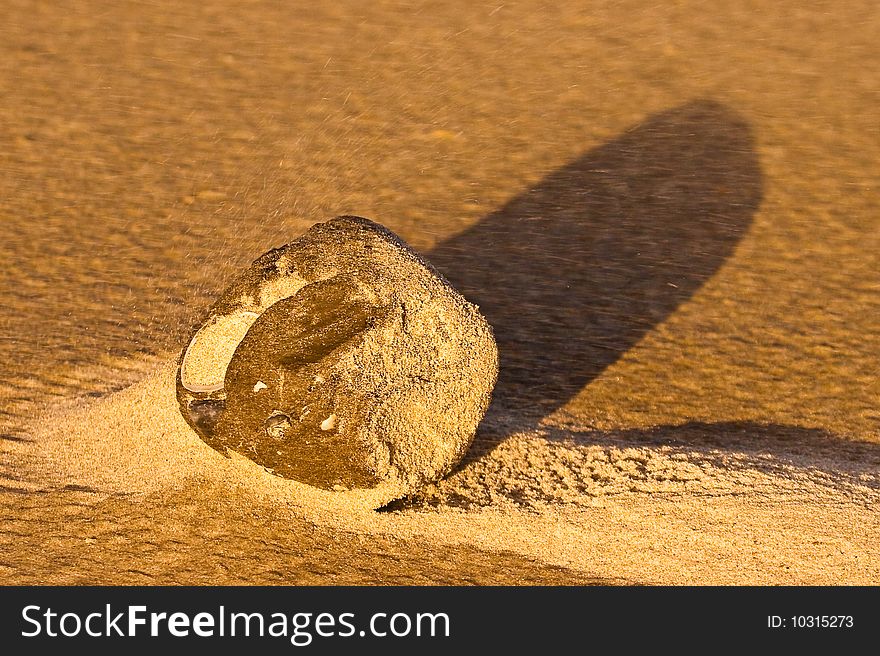 Wind blowing through the sand on the beach