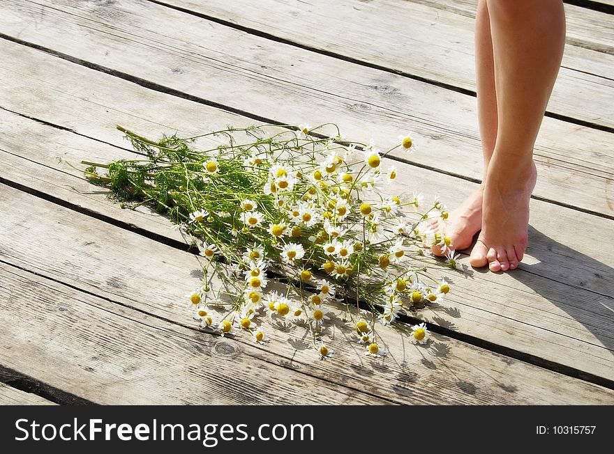 Daisies and a woman foot