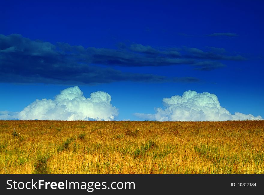 The lonely girl on a farmer field