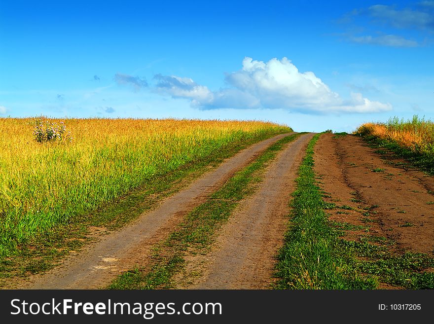 The lonely girl on a farmer field