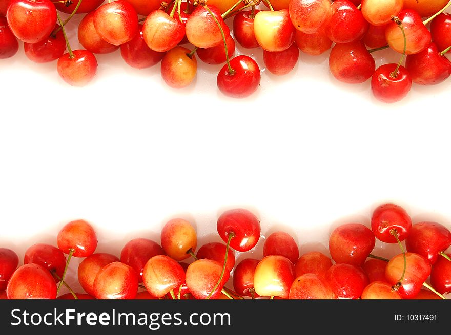 Cherry and apricot border  isolated white