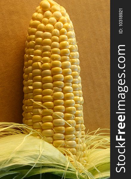 Ear of corn from farmers market