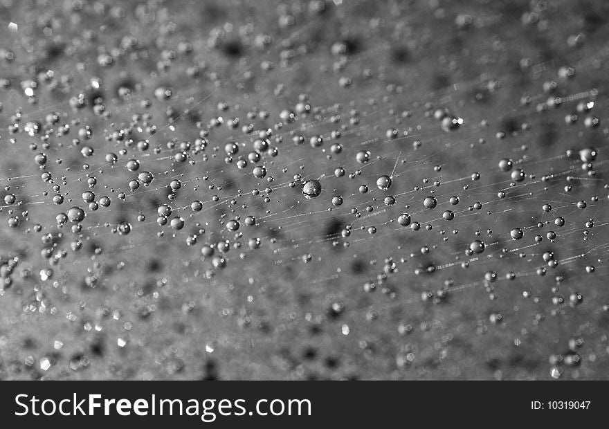 Sparks of water on a spider web on a black background. Sparks of water on a spider web on a black background