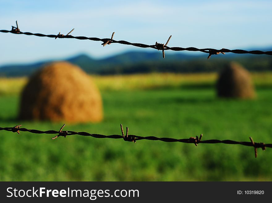 Barbed wire over blurry rural landscape with hay piles. Barbed wire over blurry rural landscape with hay piles