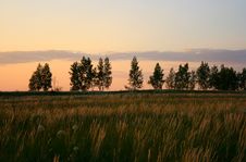 Summer Landscape In The Evening Royalty Free Stock Photography
