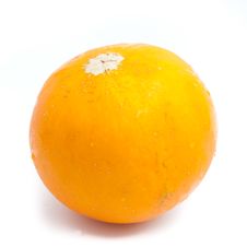 Yellow Melon Stock Image Yellow Melon Stock Image