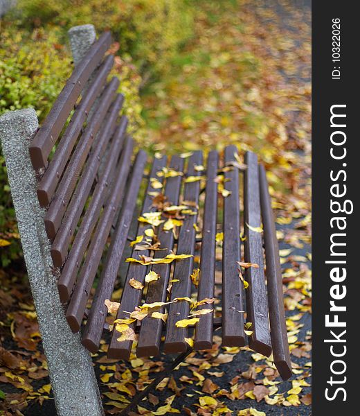 Autumn leaves fallen on a bench. Autumn leaves fallen on a bench