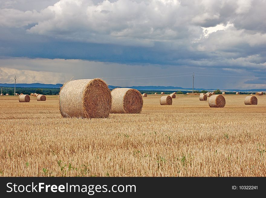 View on fields after harvest. View on fields after harvest