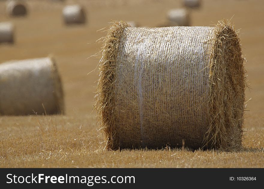 Hay Bales