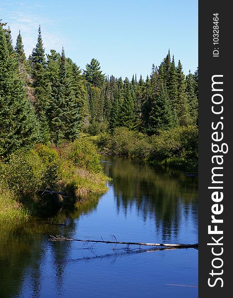 Colourful, tree line reflecting on water, later summer in Algonquin Provincial Park