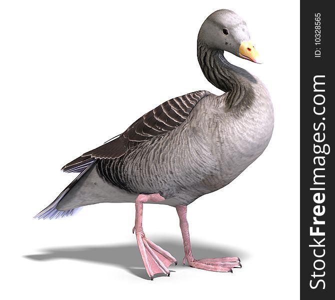 3D rendering of a grey goose with clipping path and shadow over white