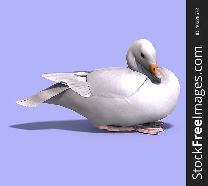 3D rendering of a snow goose with clipping path and shadow over white