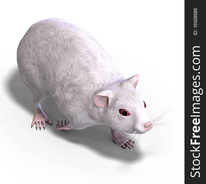 3D rendering of a sweet hamster with clipping path and shadow over white. 3D rendering of a sweet hamster with clipping path and shadow over white