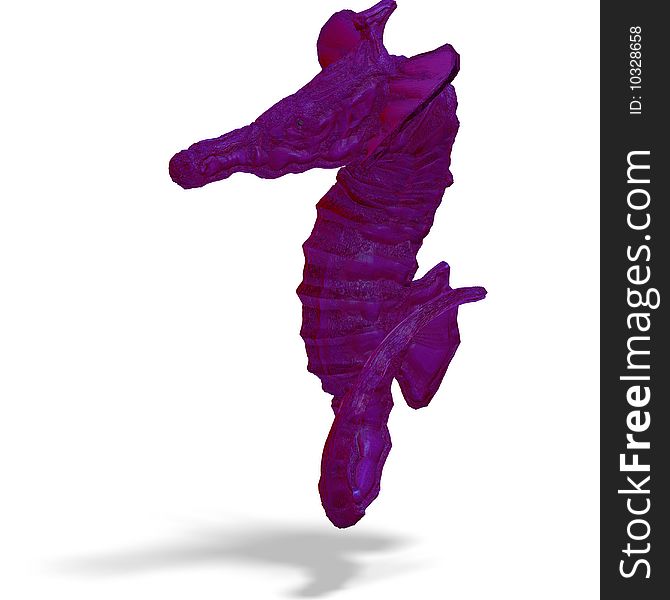 Sea horse or hippocampus. 3D render with clipping path and shadow over white. Sea horse or hippocampus. 3D render with clipping path and shadow over white