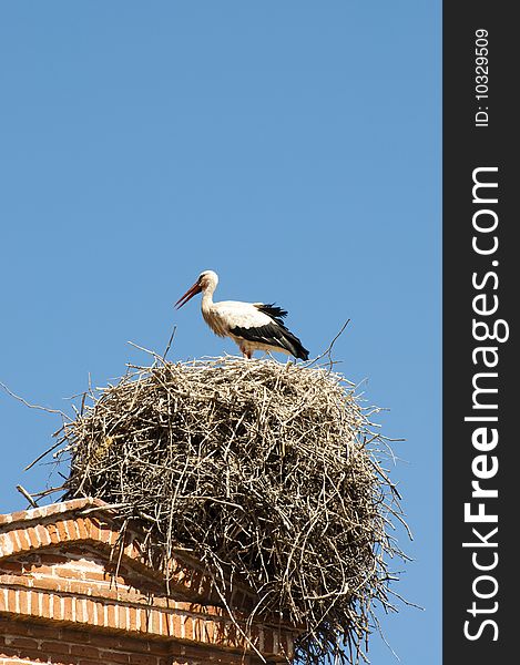 Picture of a nest stork over a roof.