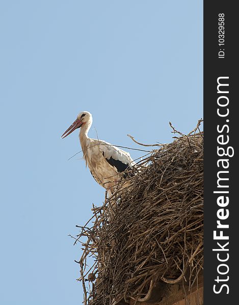 Picture of a nest stork over a roof.
