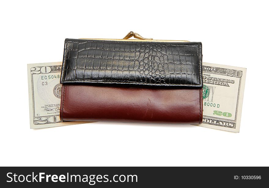 Retro Woman S Purse On Dollar Bills  Isolated