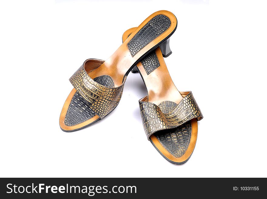 Fashionable ladies footwear