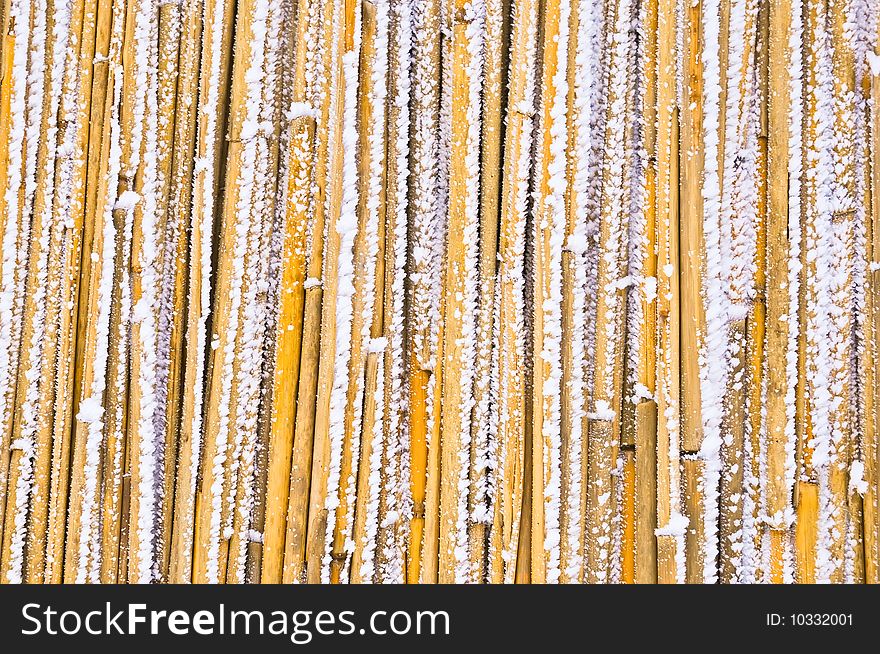A yellow straw background is covered a hoarfrost. A yellow straw background is covered a hoarfrost